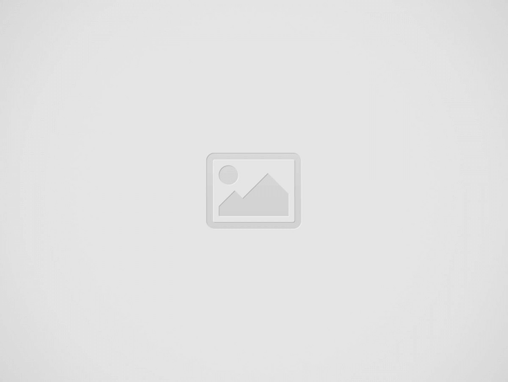 Lapače slunce a vitrážové obrazy | Dekorace a Lapač slunce