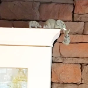 Dekorace Sloní Rodinka (1)